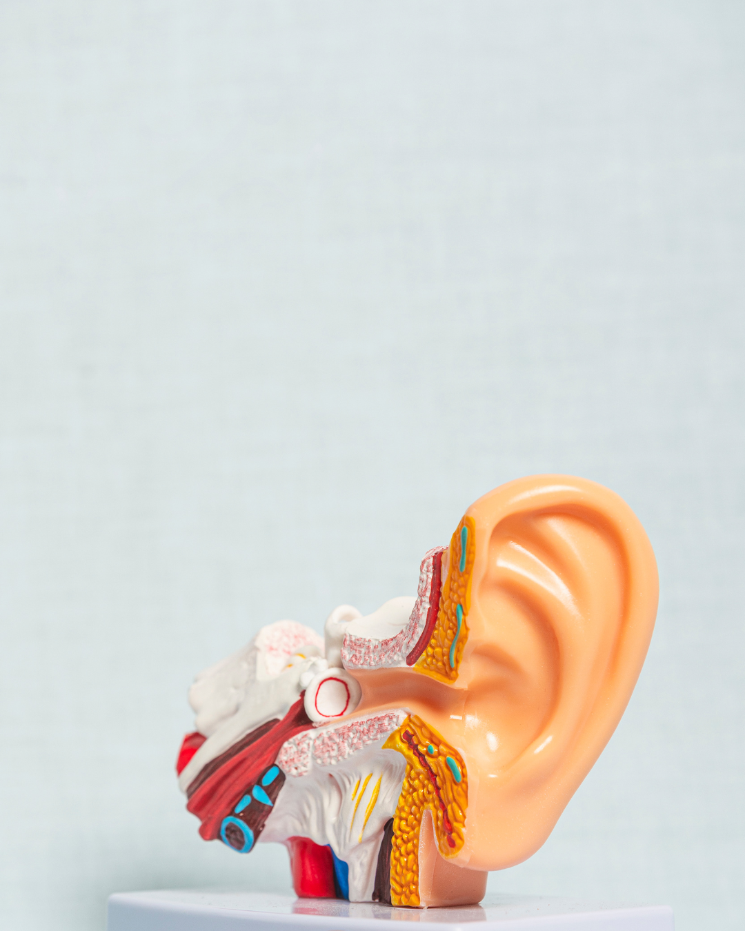 Free Telehealth Consultation